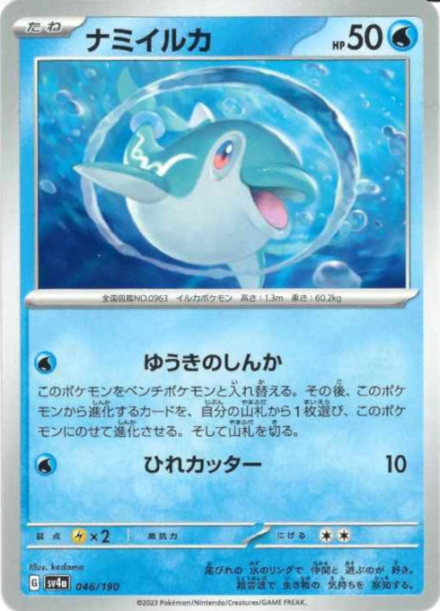 販売 / ナミイルカ