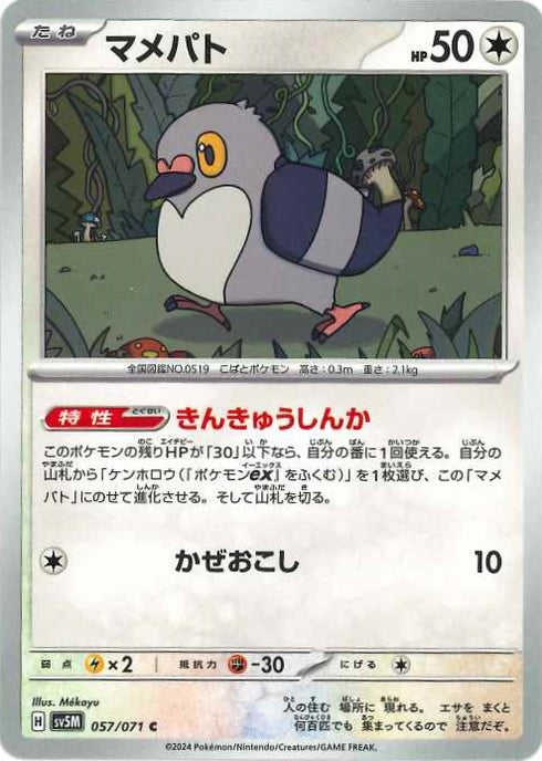 販売 / マメパト