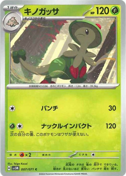 販売 / キノガッサ