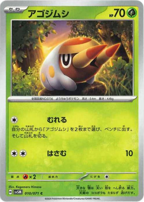 販売 / アゴジムシ