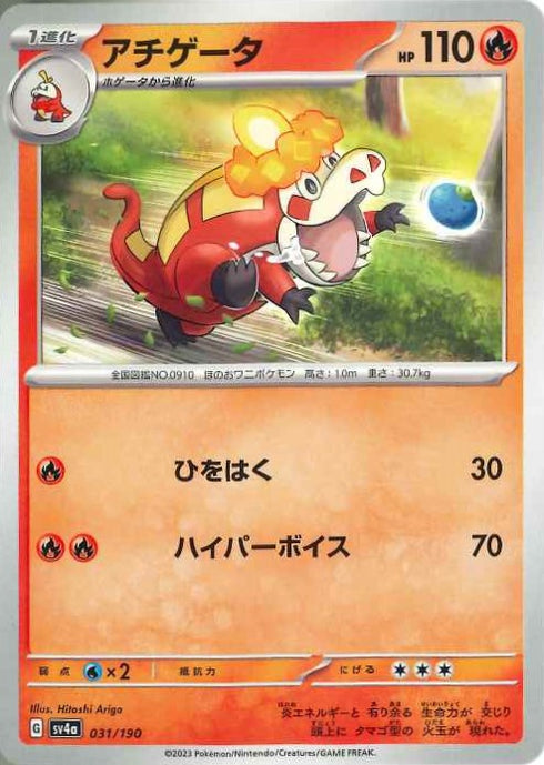 販売 / アチゲータ