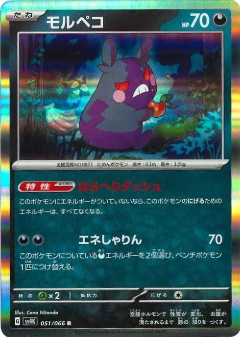 販売 / モルペコ